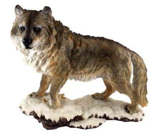 Wolf On Snowy Base