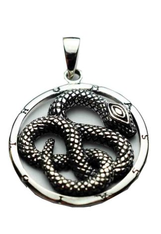 Silver Pendant Snake in Circle