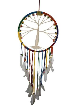 Dream Catcher Tree Rainbow