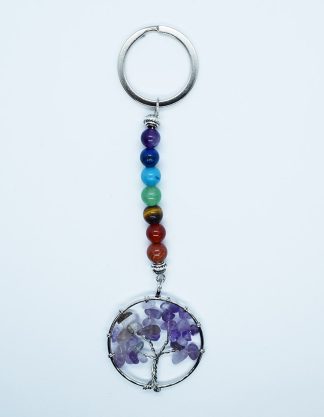 Keyring Chip TOL Amethyst