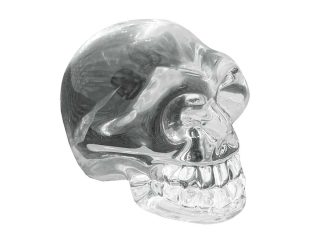 Skull Glass White 50mm
