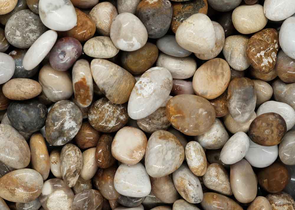 Tumblestone Fossil Coral