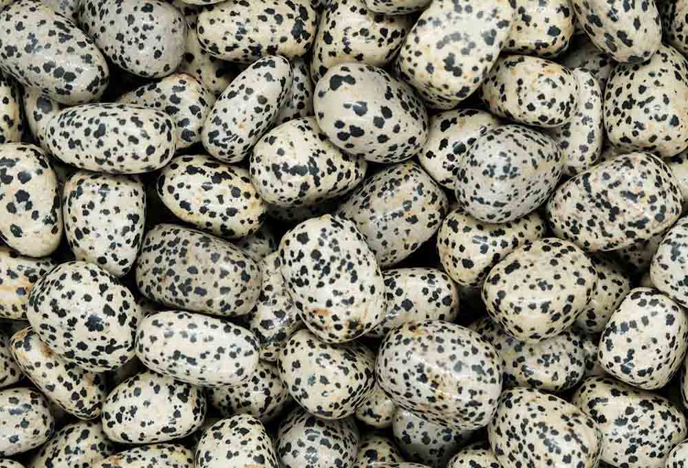 Tumblestone Dalmatian Jasper
