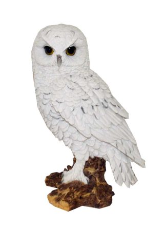 Owl Standing On Base