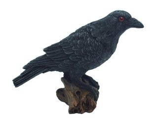 Crow