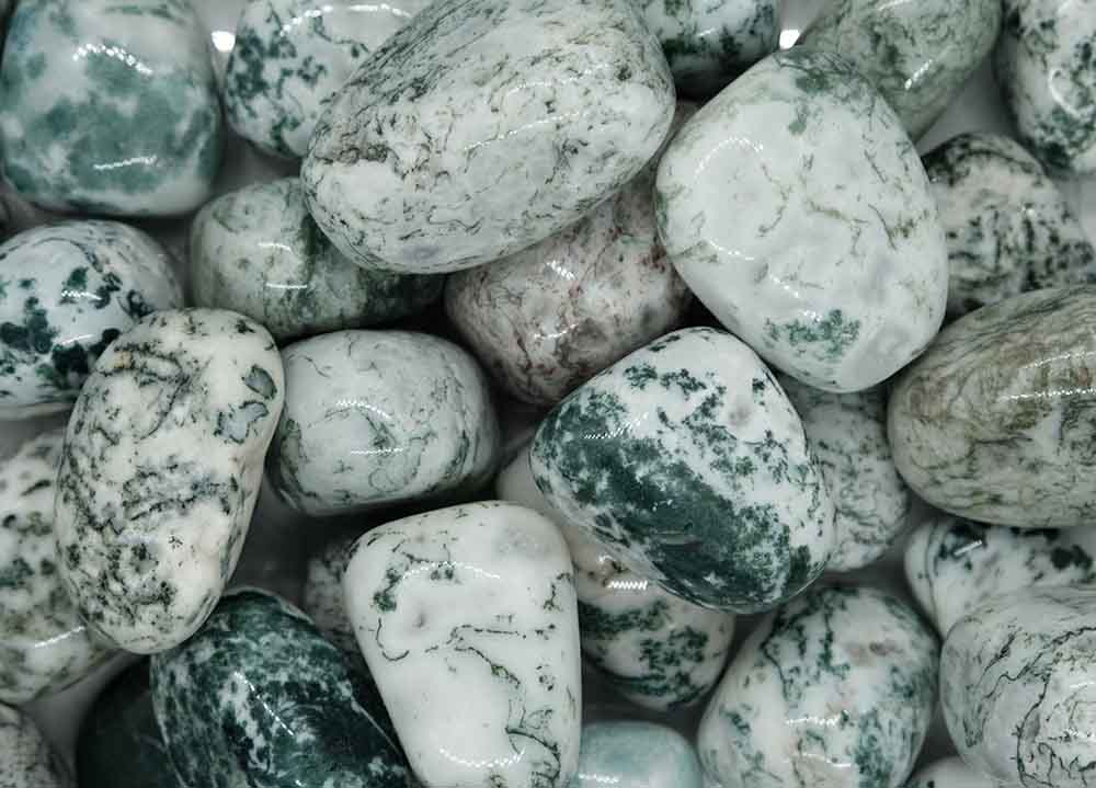 Tumblestone Tree Agate 4-5cm
