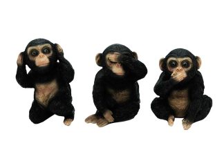 Monkeys See Hear Say No Evil