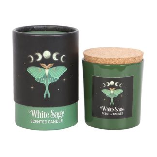 Candle Luna Moth White Sage