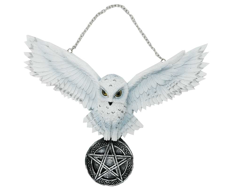 Hanging Owl White On Pentagram