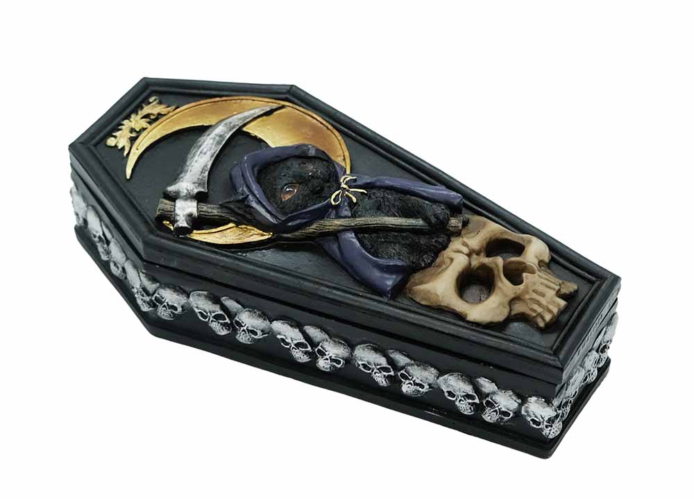 Box Reaper Cat On Skull