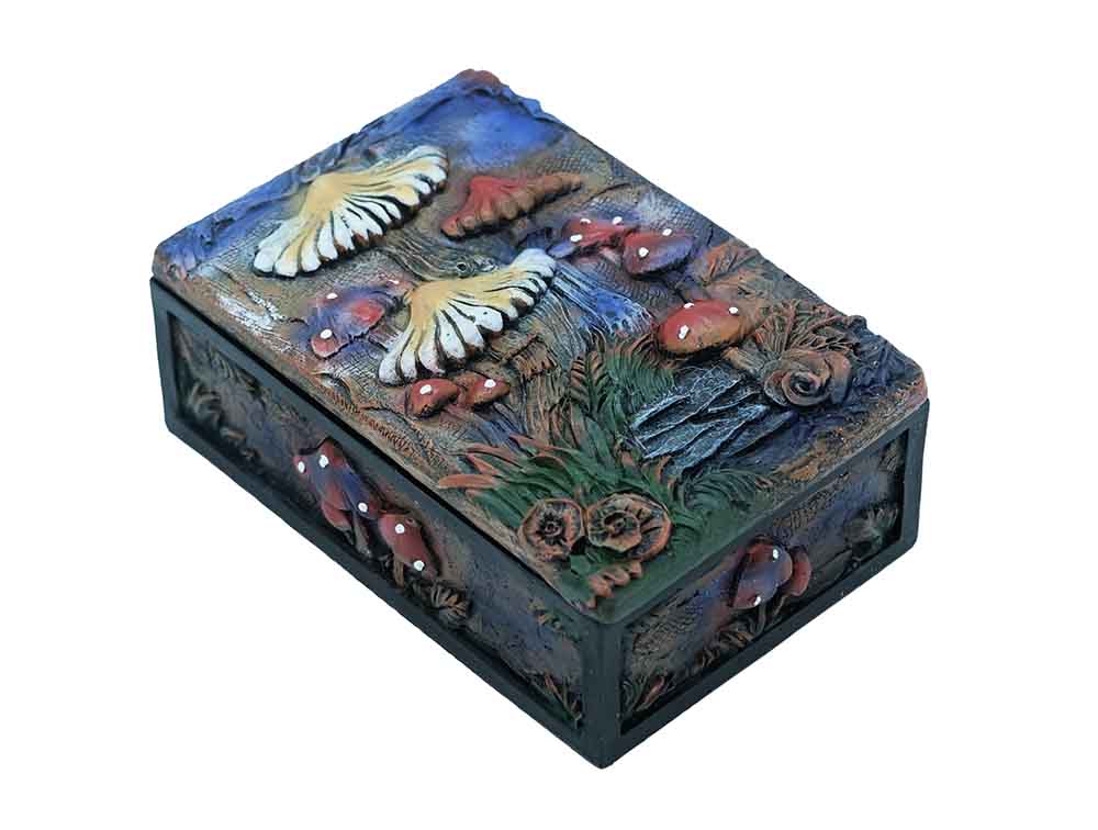 Box Mushrooms Purple
