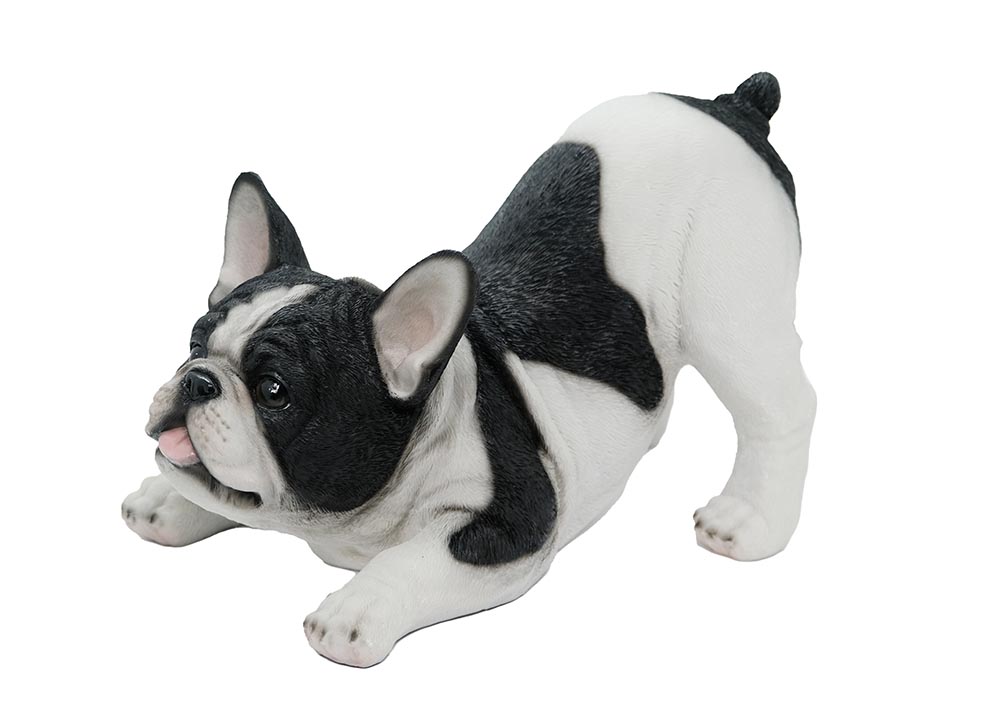Dog Pug Black And White