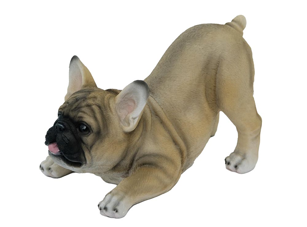 Dog Pug Brown
