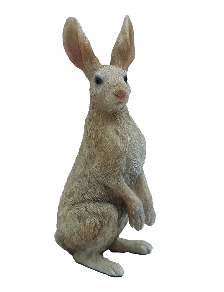 Jack Rabbit Hare Decoration
