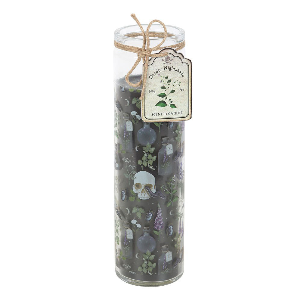 Candle Tube Poisonous Plants