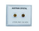 Silver Earring Stud Amber