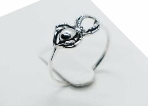 Silver Ring Spider