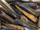 Massage Stick Tiger Eye