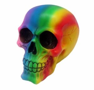 Skull Rainbow Colours