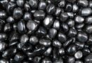 Tumblestone Shungite 2-3 cm