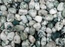 Tumblestone Tree Agate 2-3cm