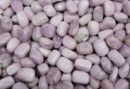Tumblestone Kunzite 2-3cm