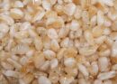 Tumblestone Citrine 1-2cm