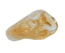 Tumble Stone Citrine 4-5cm