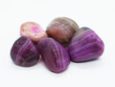 Tumble Stone Pink Banded Agate 1-2cm. 5PCS