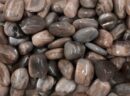 Tumblestone Black Moonstone