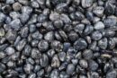 Tumblestone Iolite 2-3cm