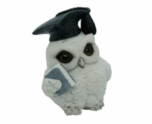Owl White With Book 12cm