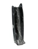 Orthoceras Fossil Tower 20cm