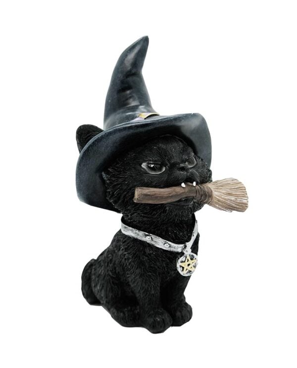 Cat Witchy With Pentagram