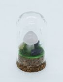 Mushroom Rose Q in Glass