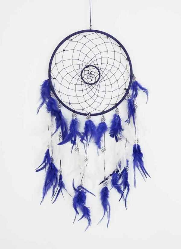 Dream Catcher Purple Web