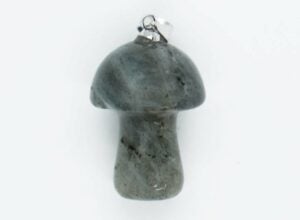 Pendant Mushroom Labradorite