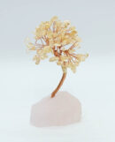 Tree Chip Citrine on Rose Quartz