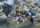 Miner on Rainbow Aura Cluster. Assorted Design