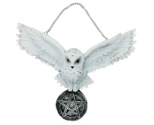 Hanging Owl White On Pentagram