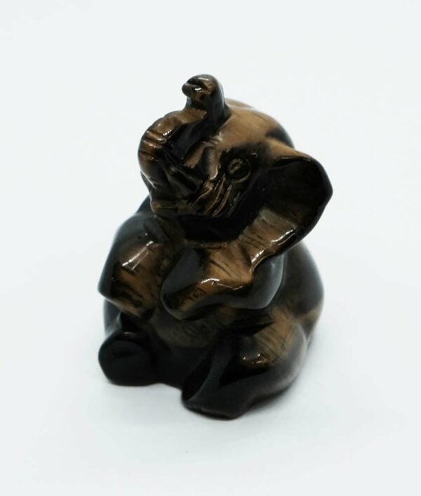 Elephant Baby 40mm Tiger Eye