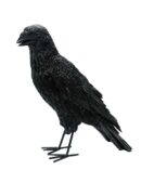 Crow Black 31x14x34cm