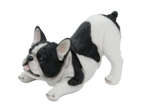 Dog Pug Black And White