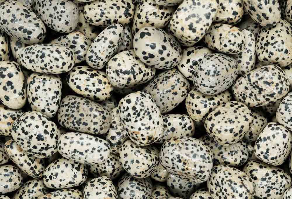 Tumblestone Dalmatian Jasper