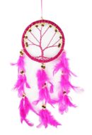 Dream Catcher TOL Pink W12L33cm