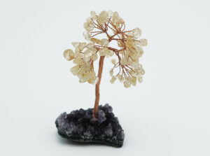 Tree Citrine On Amethyst