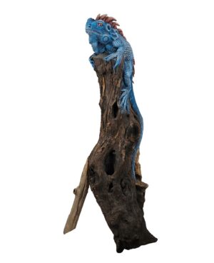 Iguana Wood 95-110cm. *COLLECTION ONLY*